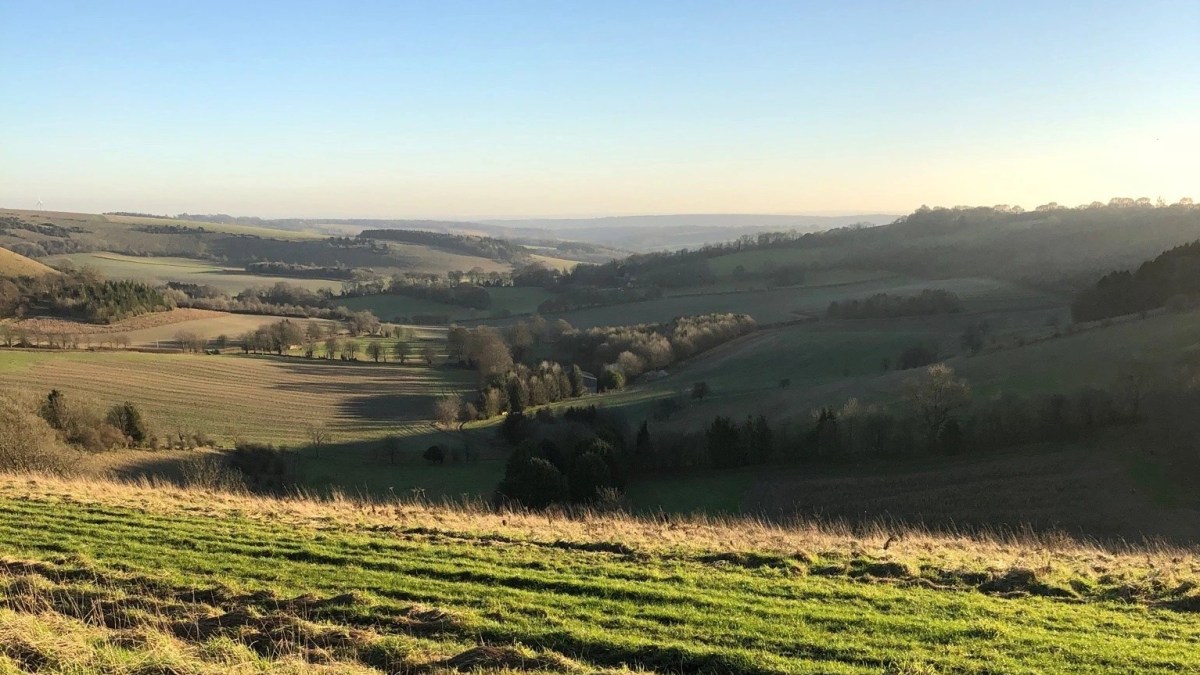 Thomas Hardy and North&nbsp;Wessex