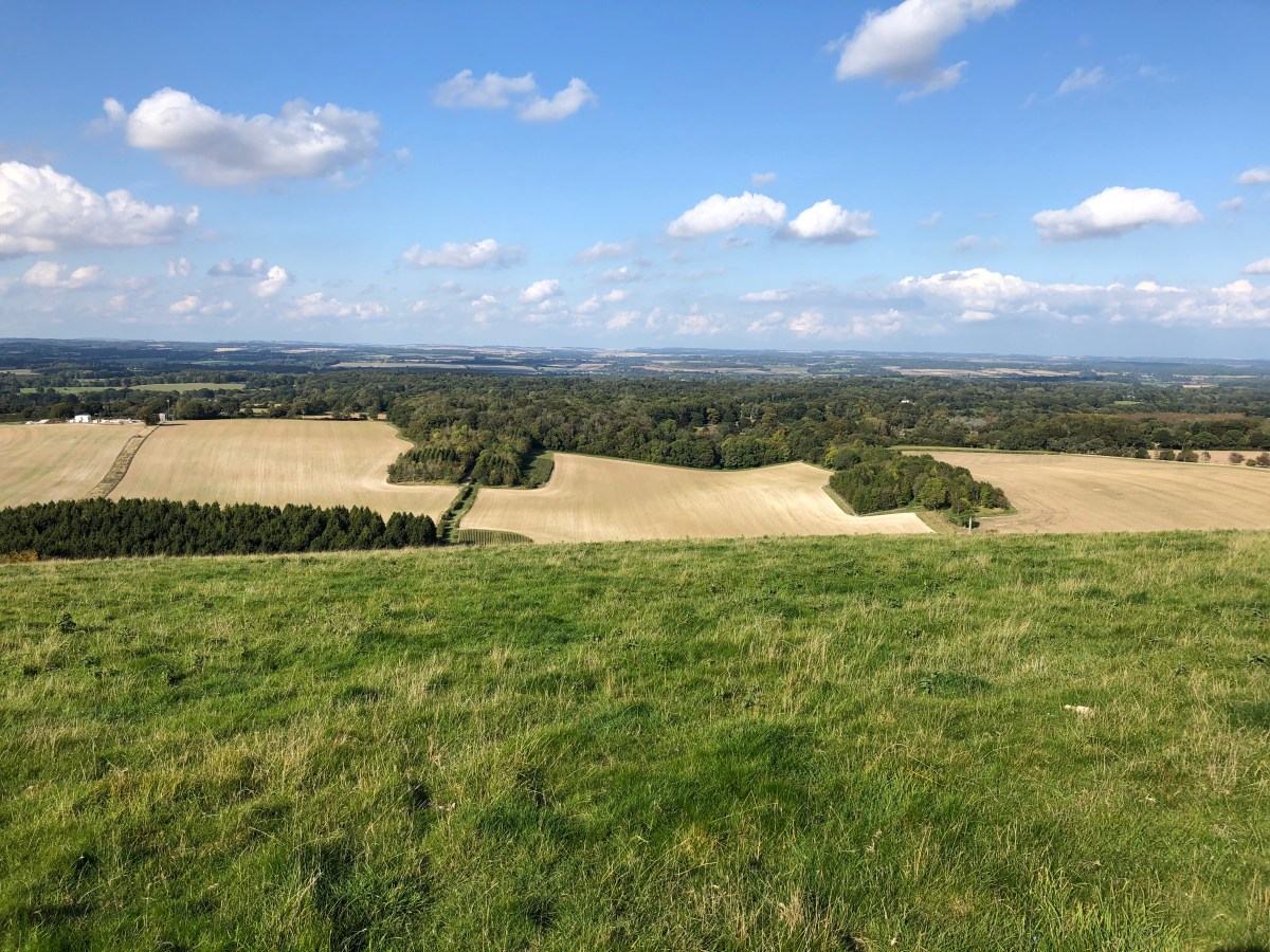 Charles Wright & the White Horse of&nbsp;Inkpen