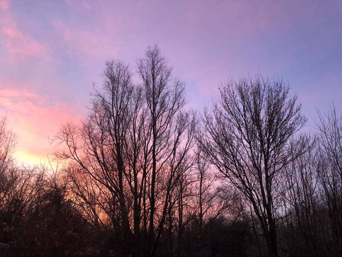 The Kintbury Martyr:&nbsp;2