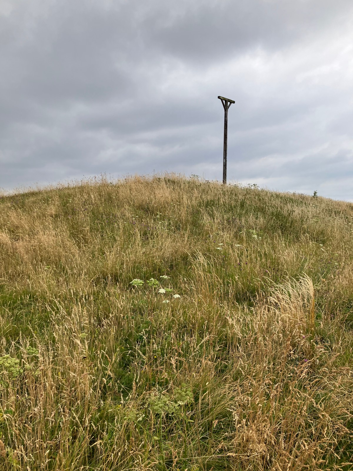 Our Neolithic neighbours